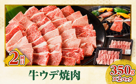 宮崎牛焼肉3回定期便 肩ロース モモ ウデ