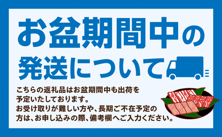 【最速便】デミグラスハンバーグ10個 ハンバーグ 牛肉 合挽