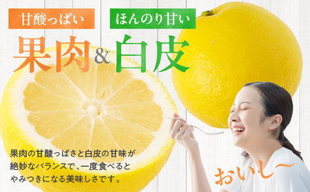 《2026年発送先行予約》【数量・期間限定】宮崎県産日向夏　2.5kg　化粧箱入り 日向夏 果物 フルーツ