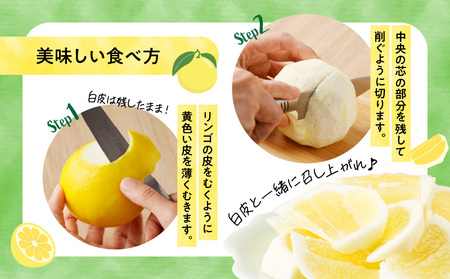 《2026年発送先行予約》【数量・期間限定】宮崎県産日向夏　2.5kg　化粧箱入り 日向夏 果物 フルーツ