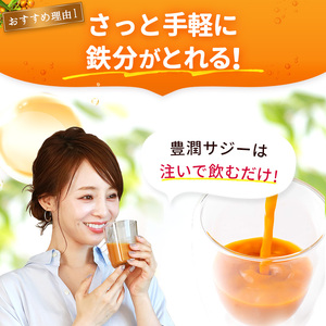 豊潤サジー 1000ml×2本セット サジージュース【紙パックタイプ】 鉄