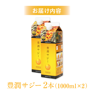 豊潤サジー 1000ml×2本セット サジージュース【紙パックタイプ】 鉄