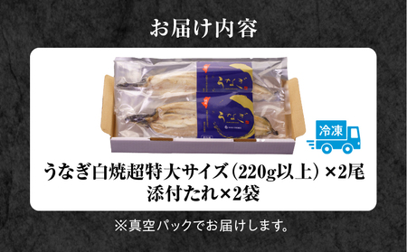 うなぎ白焼(超特大サイズ) 2尾 鰻 特大 白焼き
