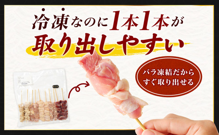 九州産若鶏 焼き鳥5種(60本)バラエティーセット 焼鳥 鶏肉 小分け BBQ アウトドア キャンプ