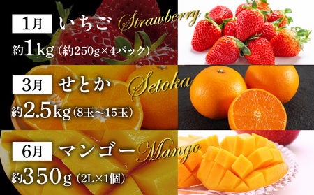 「人気くだもの定期便」全5回 旬 フルーツ 果物