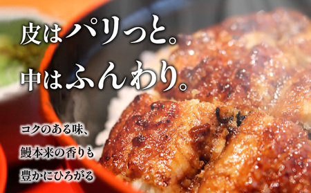 【訳あり】宮崎県産 うなぎ備長炭手焼き蒲焼3尾(300g)　うなぎ 国産 訳あり 冬うなぎ 冬鰻