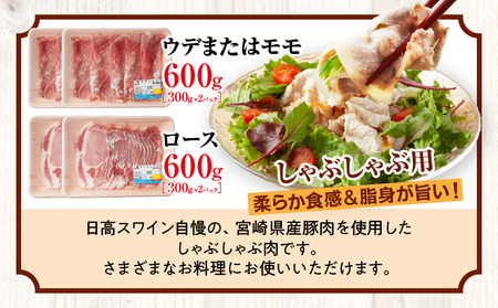 日高さんげのしゃぶしゃぶ“倍”セット ハンバーグ しゃぶしゃぶロース 豚肉