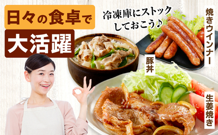 日高さんげのしゃぶしゃぶ“倍”セット ハンバーグ しゃぶしゃぶロース 豚肉