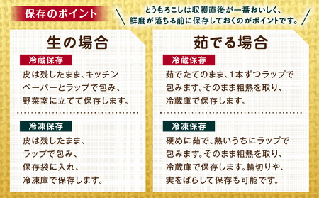 《2026年発送先行予約》【数量・期間限定】宮崎市産朝どれスイートコーン(ゴールドラッシュ)約7kg 野菜 甘い 新鮮
