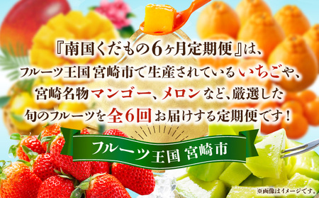 《2026年発送先行予約》南国くだもの6ヶ月定期便 フルーツ 果物 旬のフルーツ