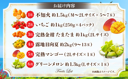 《2026年発送先行予約》南国くだもの6ヶ月定期便 フルーツ 果物 旬のフルーツ