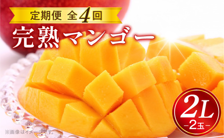 2026年発送先行予約》【数量・期間限定】完熟マンゴー2L×2玉定期便 全4