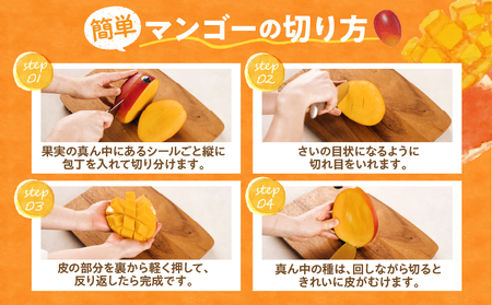 《2026年発送先行予約》【数量・期間限定】完熟マンゴー4L×2玉定期便 全4回 フルーツ 果物 定期便