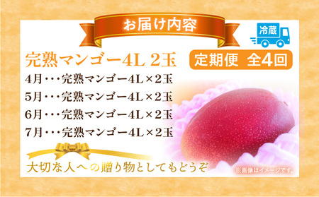 《2026年発送先行予約》【数量・期間限定】完熟マンゴー4L×2玉定期便 全4回 フルーツ 果物 定期便