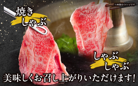 宮崎牛しゃぶしゃぶ切り落とし 1.2kg 牛肉 宮崎牛 しゃぶしゃぶ