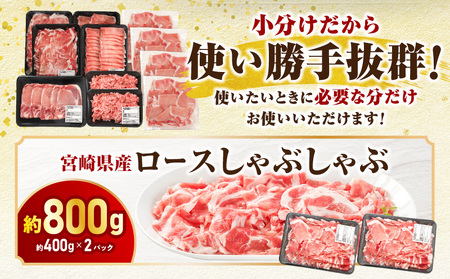 宮崎県産豚肉セット