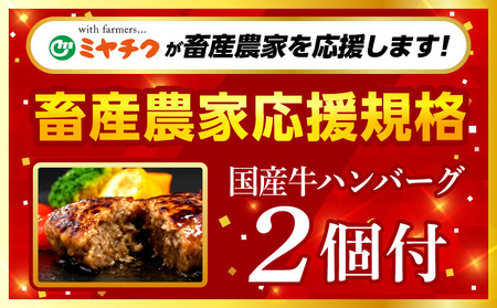 【期間・数量限定】畜産農家応援!宮崎牛 焼肉3種セット(肩ロースorロース・ウデ・モモ 各300g)・国産牛ハンバーグ100g×2個|牛肉 肉 お肉 牛 肉 精肉 焼肉用 焼肉 BBQ セット 詰め合わせ 食べ比べ 部位比べ 小分け パック 冷凍 贈答 贈り物 ギフト おすすめ 人気|