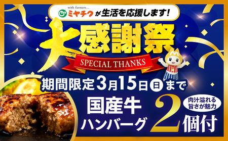 【大感謝祭】【数量・期間限定】畜産農家応援！宮崎県産 黒毛和牛 スライス3種セット(肩ロースorロース・ウデ・モモ 各300g)・国産牛ハンバーグ100g×2個|牛肉 肉 お肉 牛 黒毛和牛 和牛 国産牛 セット 詰め合わせ 食べ比べ 部位比べ スライス 薄切り すき焼き すきしゃぶ 牛すき 小分け パック 冷凍 贈答 贈り物 ギフト 宮崎県産 国産 |