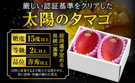 《2026年発送先行予約》【数量・期間限定】太陽のタマゴ 2Lサイズ 3玉 南国 フルーツ 太陽のタマゴ
