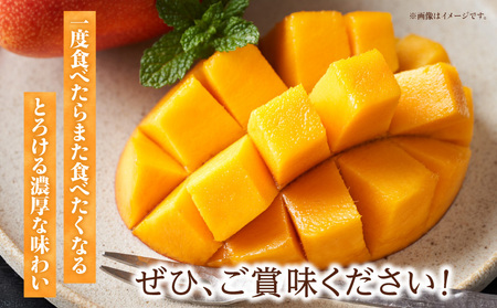 《2026年発送先行予約》【数量・期間限定】3回定期便 3L2玉完熟マンゴーコース 果物 フルーツ マンゴー