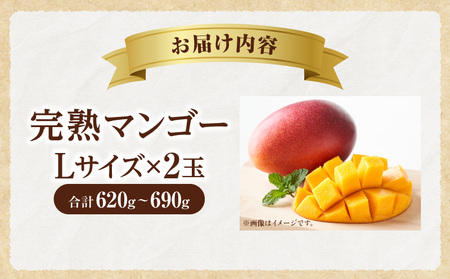 《2026年発送先行予約》【数量・期間限定】完熟マンゴー Lサイズ 2玉 南国 フルーツ 完熟