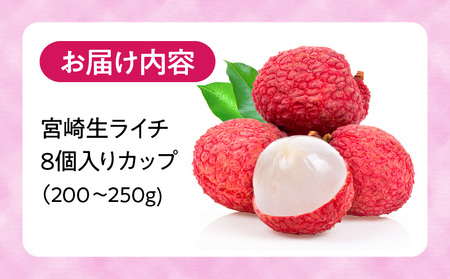 《2026年発送先行予約》【数量・期間限定】宮崎生ライチ 新鮮 果実 濃厚