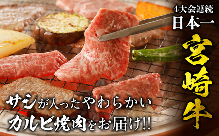 【定期便全6回】宮崎牛 カルビ焼肉 合計1kg 霜降り ブランド カルビ 焼き肉 BBQ