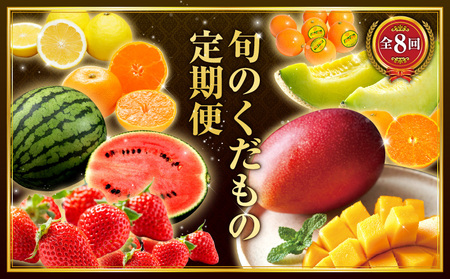 【数量限定】旬のくだもの定期便【全8回】 全8回 フルーツ 果物 定期便