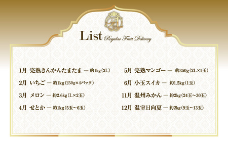 【数量限定】旬のくだもの定期便【全8回】 全8回 フルーツ 果物 定期便