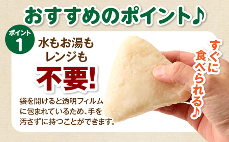 塩おにぎり おにぎり 備蓄 非常食 ご飯