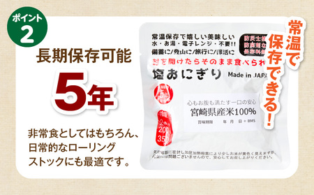 塩おにぎり おにぎり 備蓄 非常食 ご飯