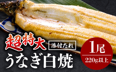 うなぎ白焼(超特大サイズ) 1尾 うなぎ 白焼 特大