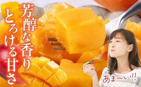 《2026年発送先行予約》【数量・期間限定】宮崎県産完熟マンゴー3L(2玉) マンゴー フルーツ 果物