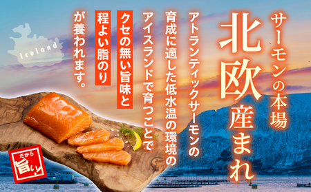 アトランティックサーモン 1kg サーモン アトランティックサーモン お刺身