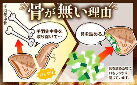 ひとくち手羽ぎょうざ 20個入×1パック 手羽 餃子 手羽餃子