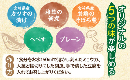 「小料理ひゅう」冷や汁 5種10食セット 郷土料理 宮崎名物 惣菜