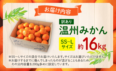 《2025年発送先行予約》【期間・数量限定】《訳あり》温州みかん16kg(傷み補償分200g付き) ミカン 果物 柑橘