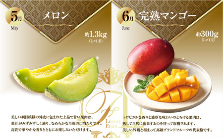 《2026年発送先行予約》【数量・期間限定】旬のくだもの食べきり定期便 青果物 果物 フルーツ