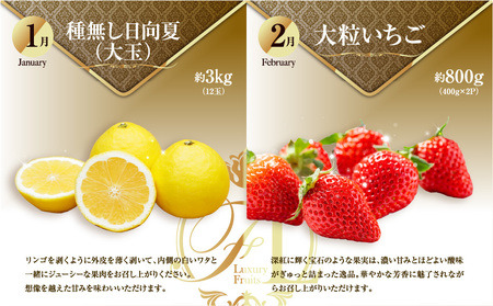 《2026年発送先行予約》【数量・期間限定】旬のくだもの【極】定期便【全6回】 青果物 果物 フルーツ