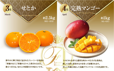 《2026年発送先行予約》【数量・期間限定】旬のくだもの【極】定期便【全6回】 青果物 果物 フルーツ