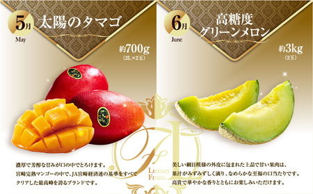 《2026年発送先行予約》【数量・期間限定】旬のくだもの【極】定期便【全6回】 青果物 果物 フルーツ