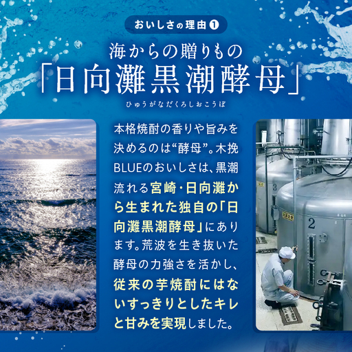 【最速便】木挽BLUEハイボール 2箱(48本) お酒 酒 アルコール 木挽きBLUE ハイボール 缶 ソーダ割り 食中酒 糖質ゼロ