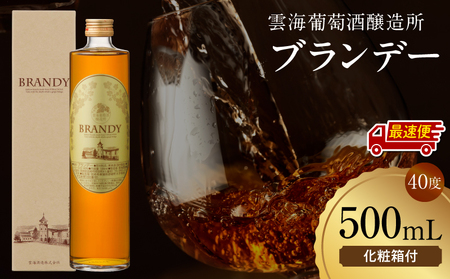 【最速便】雲海葡萄酒醸造所 ブランデー 500ml 国産 国産ブランデー 酒 洋酒 お酒 アルコール 果実酒 葡萄酒 熟成 蒸留 贈答用 贈り物 ギフト プレゼント 記念日 誕生日 イベント 手土産