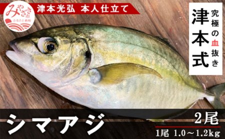 津本式 シマアジ２尾 津本光弘本人仕立て 宮崎県宮崎市 ふるさと納税サイト ふるなび