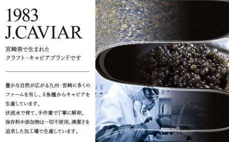 1983 J.CAVIAR バエリ クラシック (20g×4個セット)