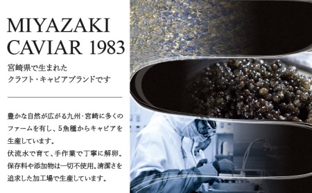 MIYAZAKI　CAVIAR 1983　12g キャビア 国産キャビア 魚卵