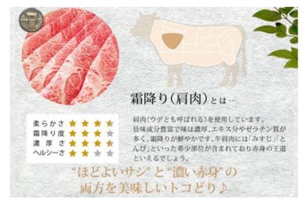 宮崎牛霜降りスライス(500g)　肉 牛 牛肉