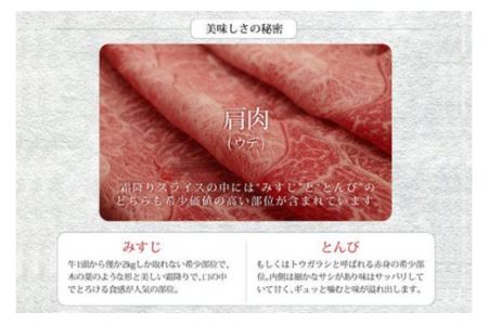 宮崎牛霜降りスライス(500g)　肉 牛 牛肉