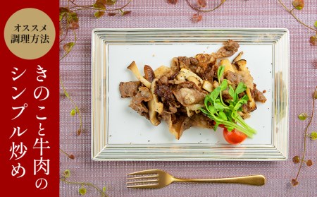 宮崎県産黒毛和牛こま切れ(煮込み、炒め物用)1.2kg(400g×3)