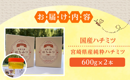 数量限定 宮崎県産純粋ハチミツ(600g×2本) はちみつ 純粋 蜂